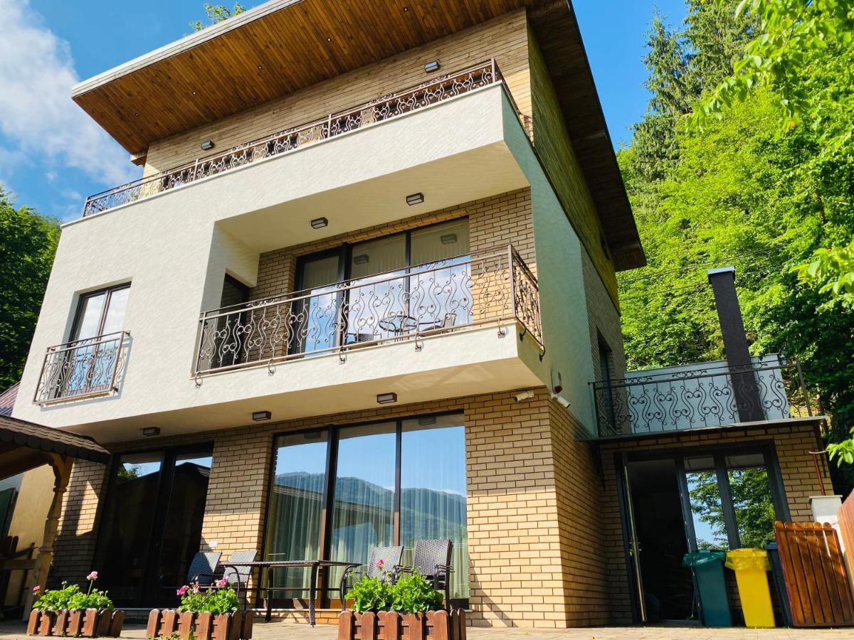 Vila Tarnita クルージュ＝ナポカ エクステリア 写真